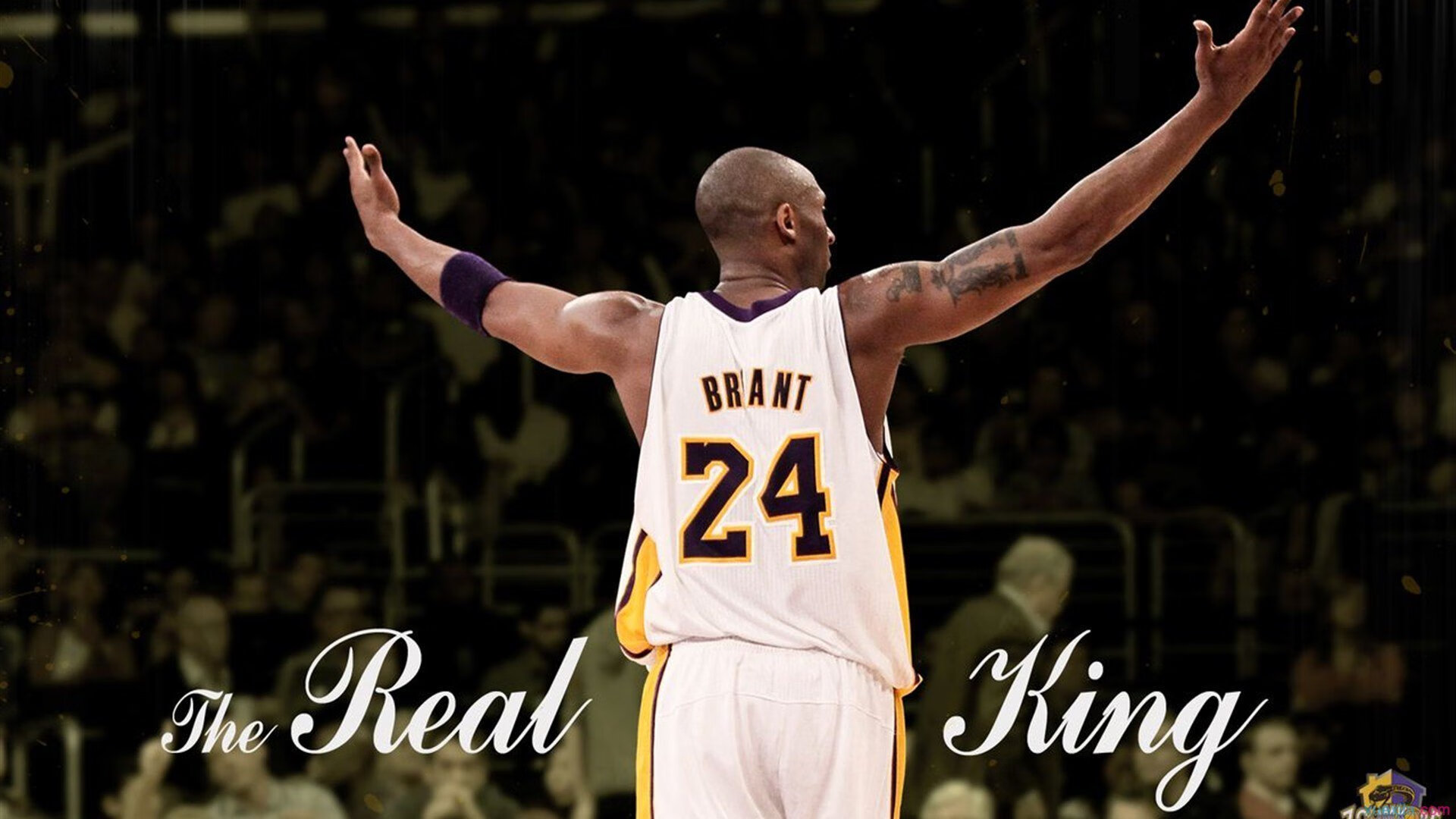 DB电竞直播平台入口-欧冠半决赛之夜,锡安关键节点连续得分