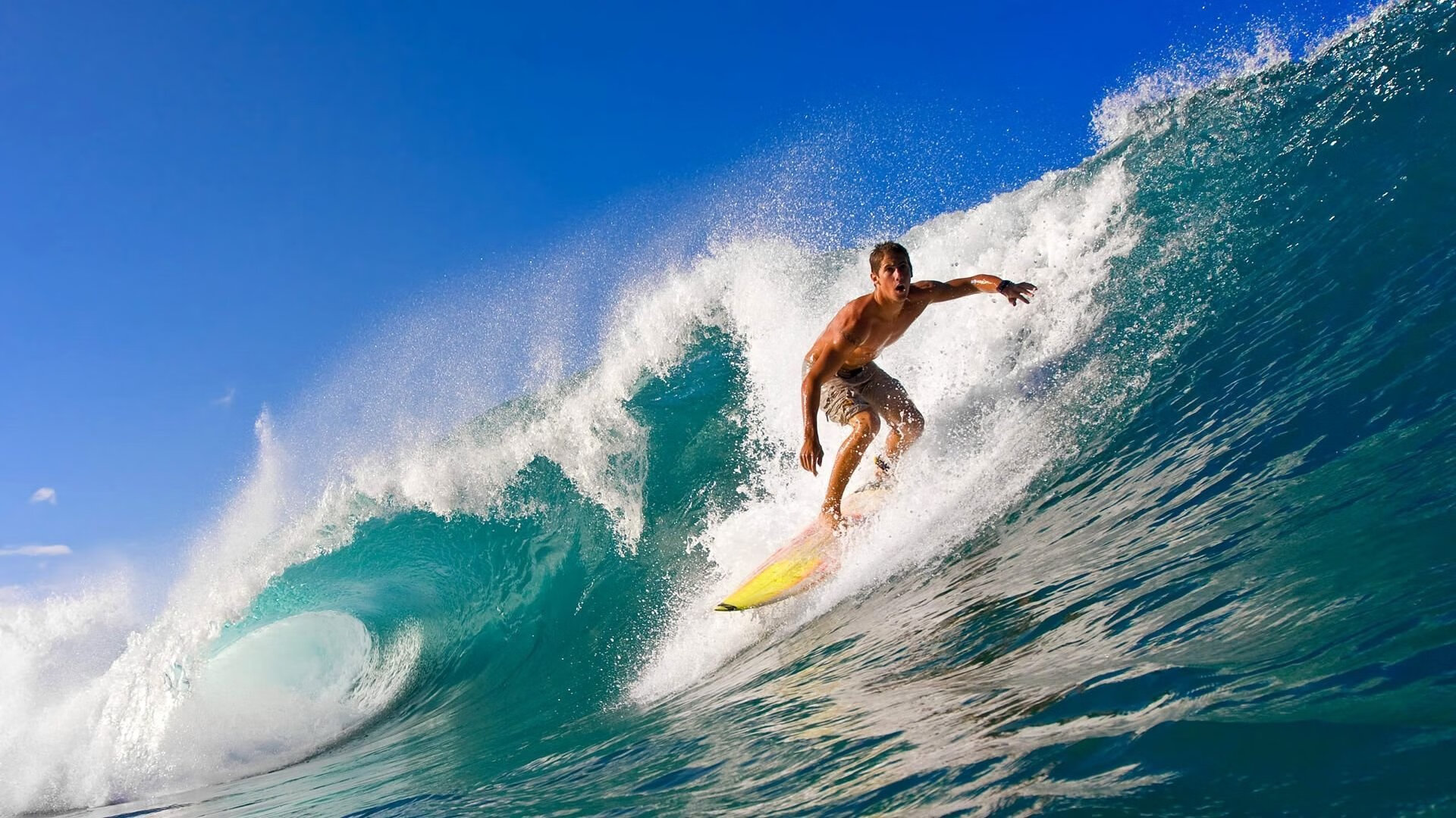 绿茵场与硬木地,双线争锋的胜利哲学