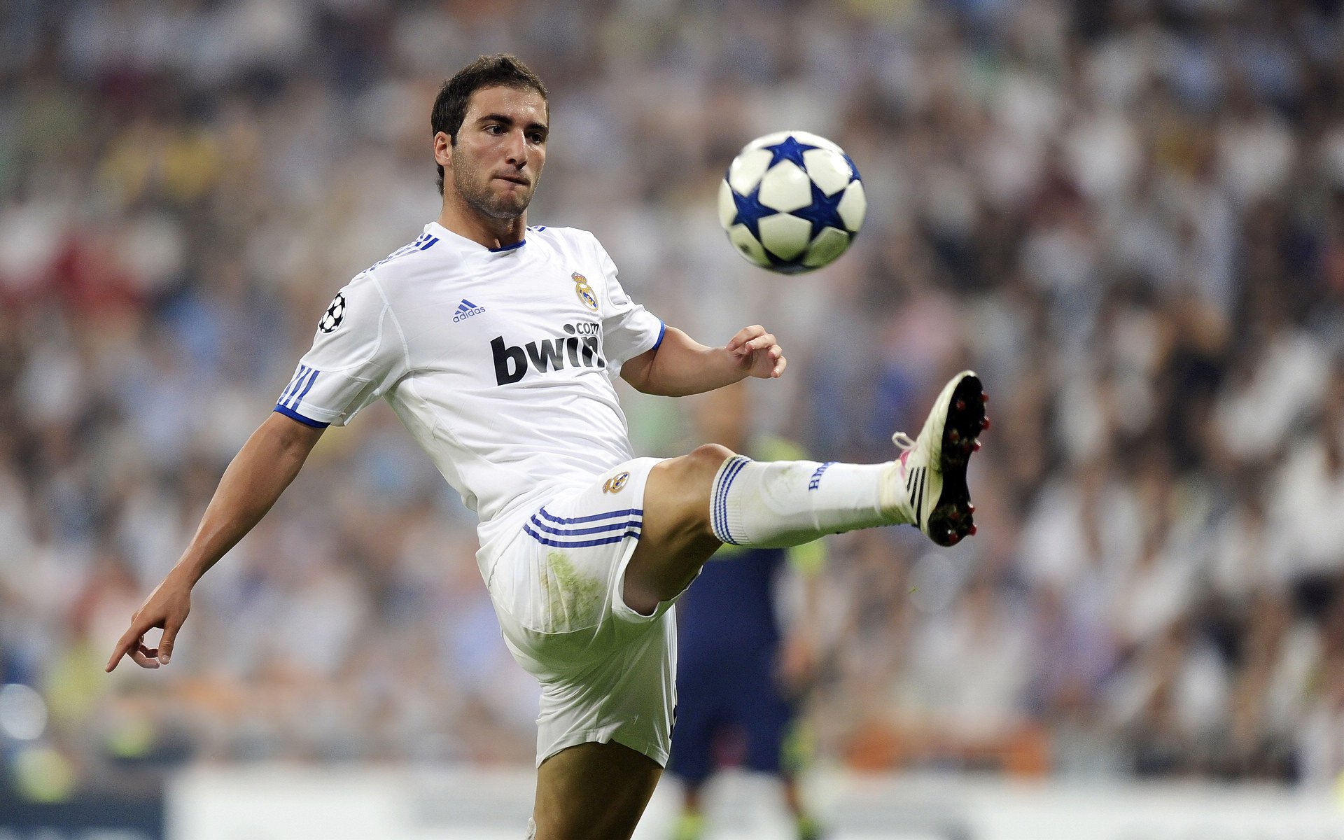 灰熊碾压辽宁队，美加墨世界杯焦点战前的警示与启示